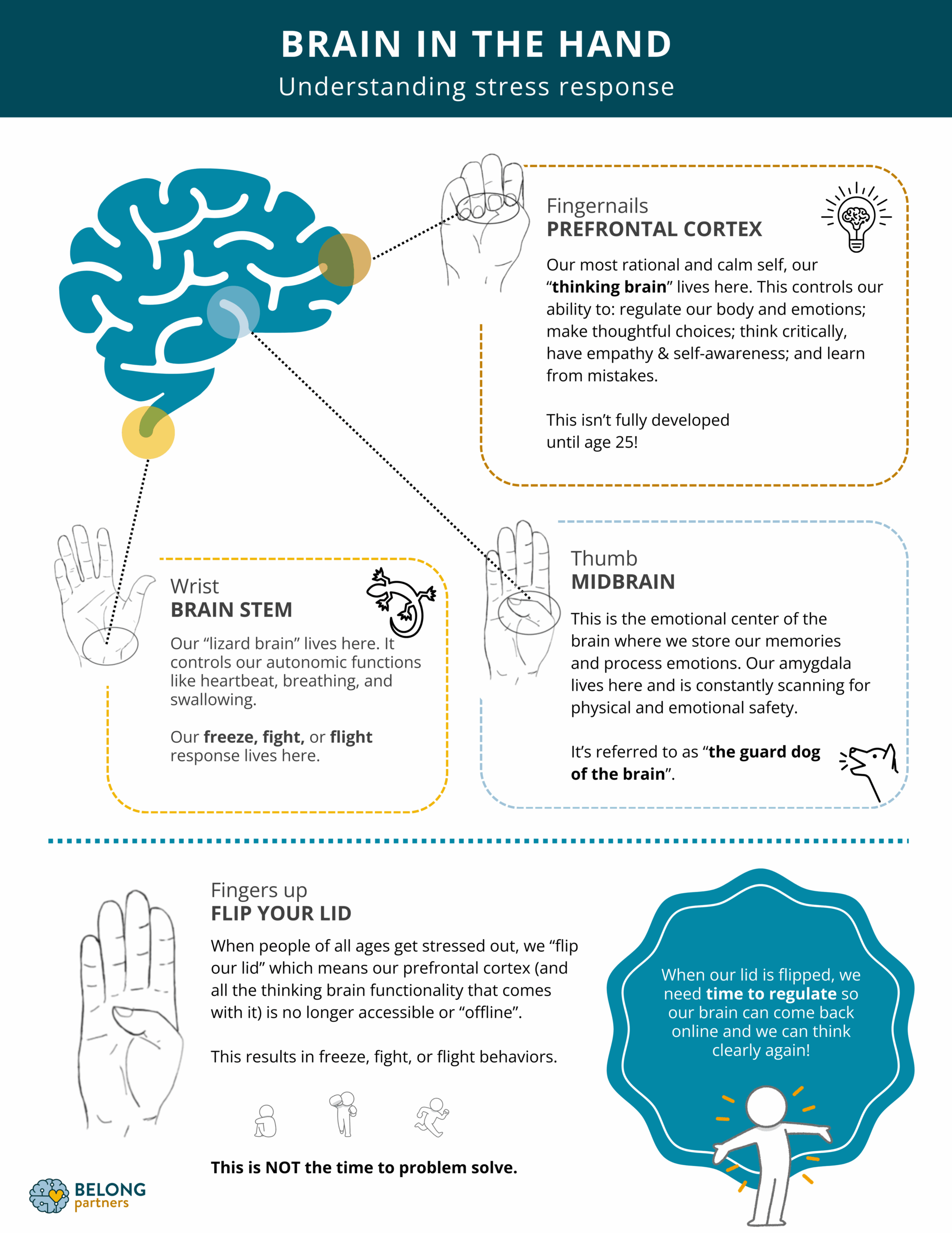 Brain GEAR Method 人体の絶対ルール Brain Test 5 All-Star - Level 596, 597, 598 Solution - YouTube